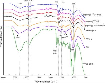 Enhancing the Thermostability of Papain by Immobilizing on Deep Eutectic Solvents-Treated Chitosan With Optimal Microporous Structure and Catalytic Microenvironment